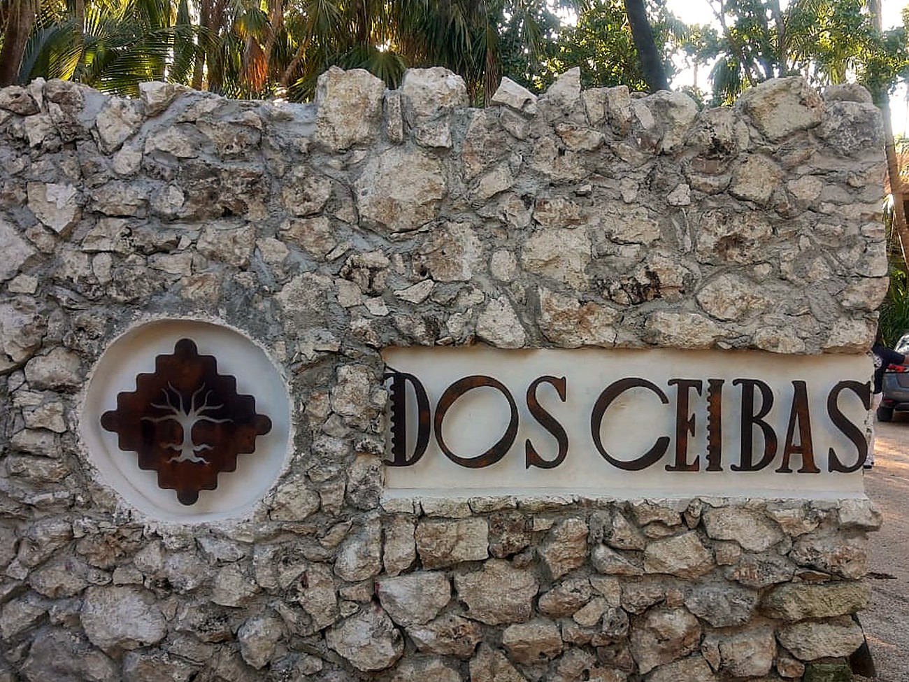 The Dos Ceibas mark built into the chukum entrance wall