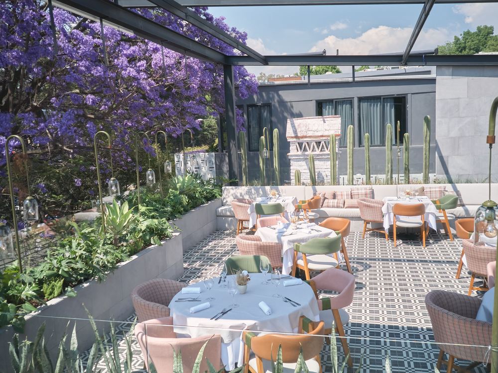 Zagala — la terraza bajo las jacarandas