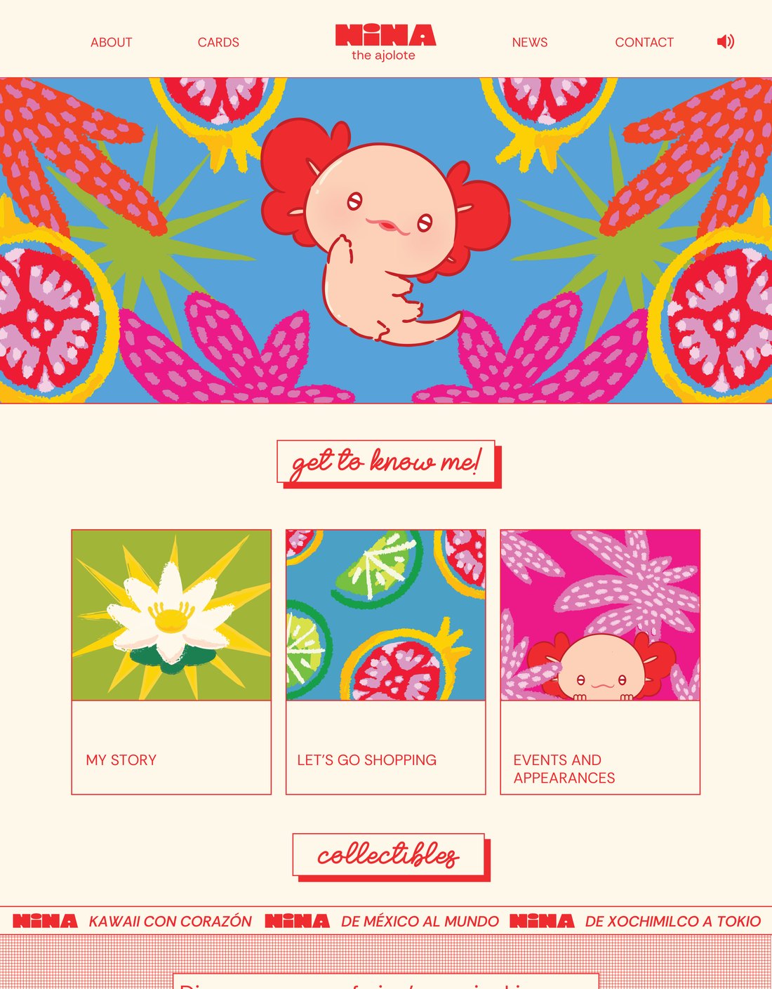 NiNA website design