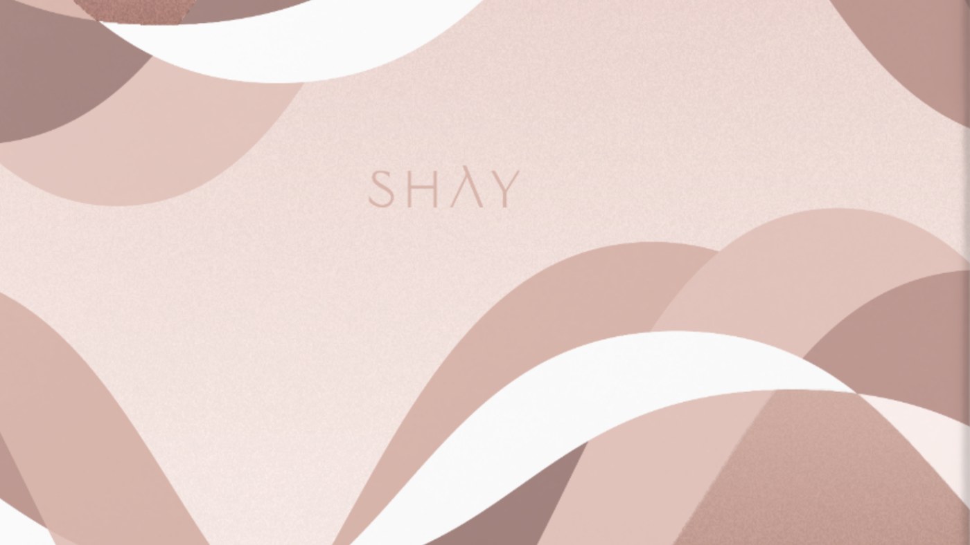 The SHAY palette, applied to a packaging insert card