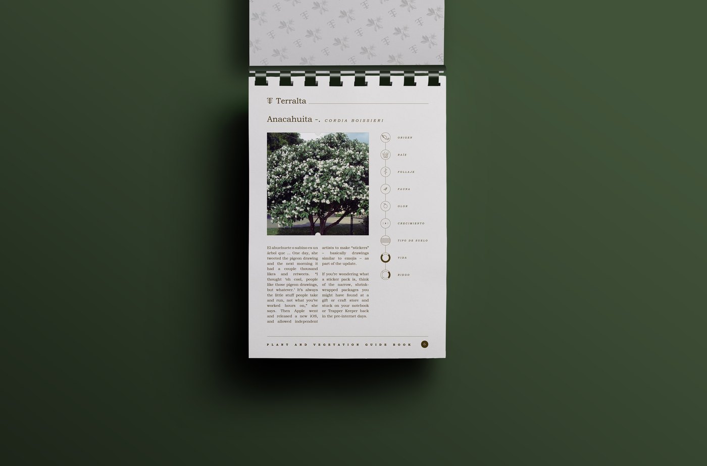 Terralta brochure spread — anacahuita